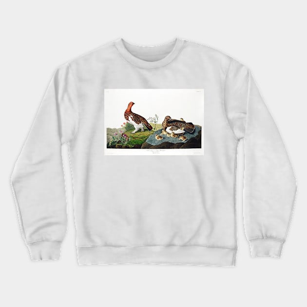 Willow Grouse, or Large Ptarmigan from Birds of America (1827) Crewneck Sweatshirt by WAITE-SMITH VINTAGE ART